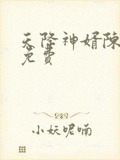 天降神婿陈黄皮免费