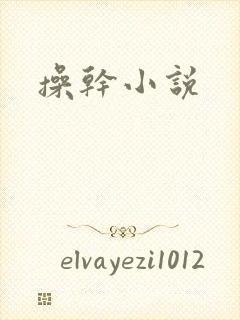 操干小说