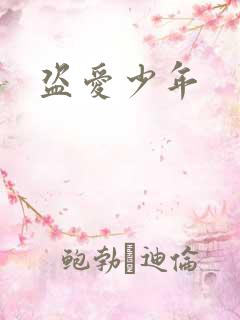 盗爱少年