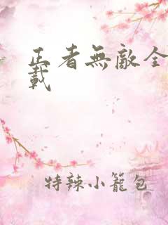 正者无敌全集下载