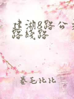 建湖8路公交车路线路