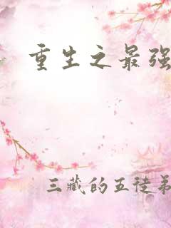 重生之最强英雄