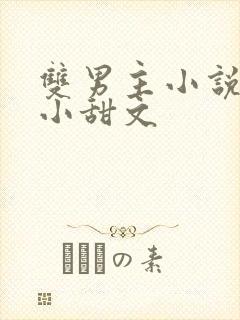 双男主小说推荐小甜文