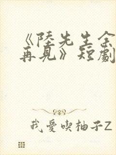 《陆先生余生不再见》短剧