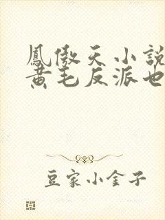 凤傲天小说里的黄毛反派也想幸福 小说