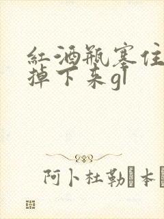 红酒瓶塞住不准掉下来gl