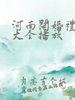 河南闹婚礼视频大全播放