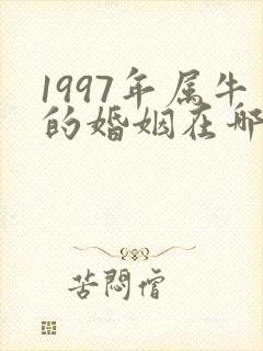 1997年属牛的婚姻在哪个方向