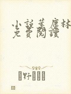 小说叶尘林含雪免费阅读