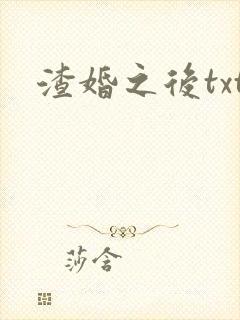 渣婚之后txt