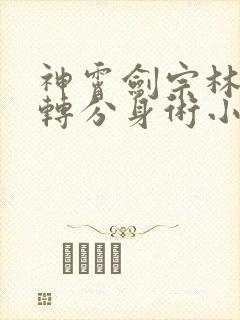 神霄剑宗林枫九转分身术小说