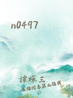 n0497