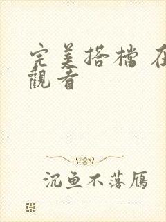 完美搭档 在线观看