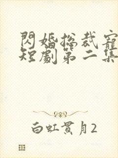 闪婚总裁宠上天短剧第二集在线观看