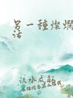 另一种灿烂的生活