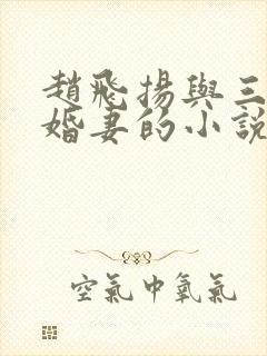 赵飞扬与三个未婚妻的小说