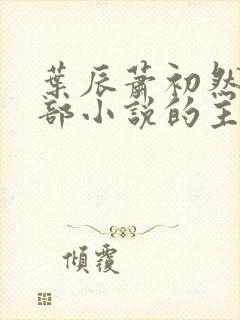 叶辰萧初然是哪部小说的主角