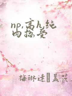 np,高h,纯肉总受