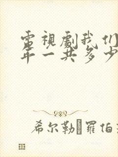 电视剧我们这十年一共多少集