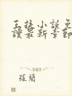 王扶小说免费阅读最新章节无弹窗