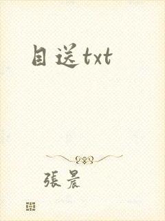目送txt
