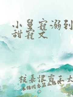 小舅宠溺到爆的甜宠文