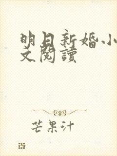 明日新婚小说全文阅读