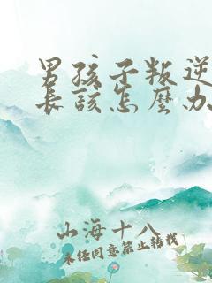 男孩子叛逆期家长该怎么办