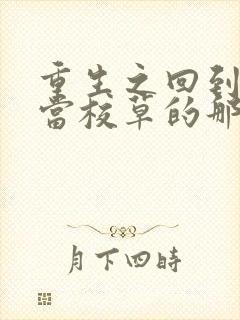 重生之回到我爸当校草的那几年