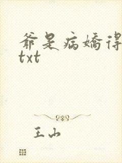 爷是病娇得宠着txt