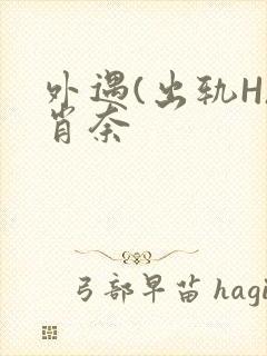 外遇(出轨H)肖奈