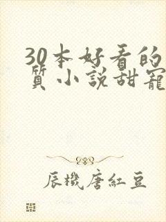 30本好看的肉质小说甜宠文