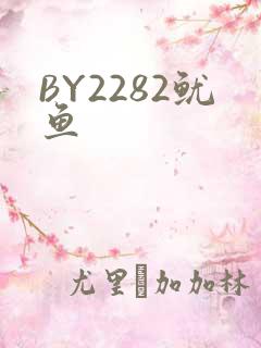 BY2282鱿鱼