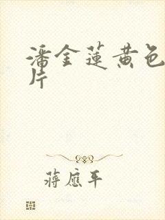 潘金莲黄色二级片