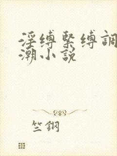 淫缚紧缚调教高潮小说