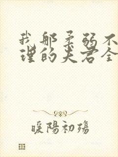 我那柔弱不能自理的夫君全本免费