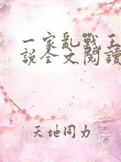 一家乱战王芳小说全文阅读