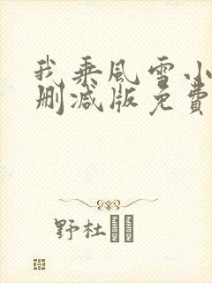 我乘风雪小说无删减版免费阅读