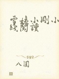 雪姨小刚小说在线阅读