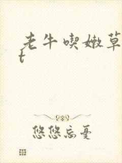老牛吃嫩草txt