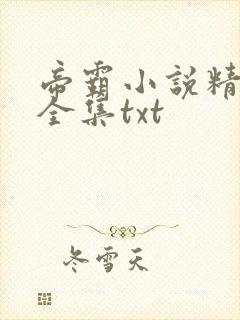 帝霸小说精校版全集txt