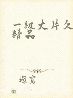 一级大片久久久精品