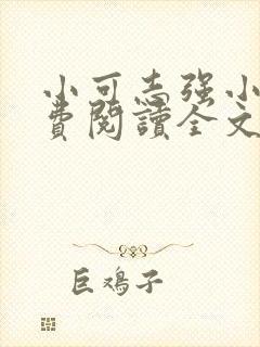 小可志强小说免费阅读全文最新章节更新