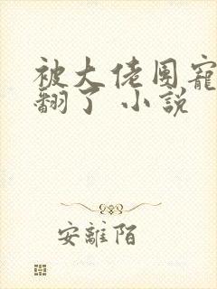 被大佬团宠后野翻了 小说