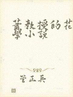 萧教授的花式教学小说