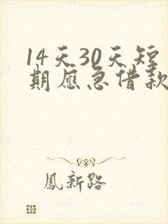 14天30天短期应急借款