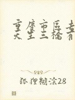 重庆市区去武隆天生三桥有多远