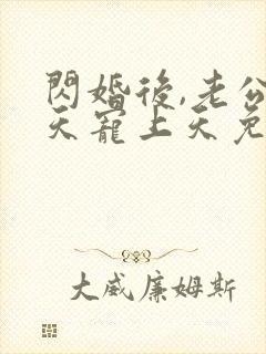 闪婚后,老公每天宠上天免费全文阅读