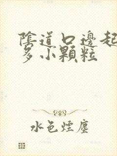 阴道口边起了许多小颗粒