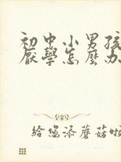 初中小男孩叛逆厌学怎么办